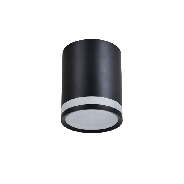 C001 LED Surface Mounted Down Light 6W/8W/10W for Ceiling