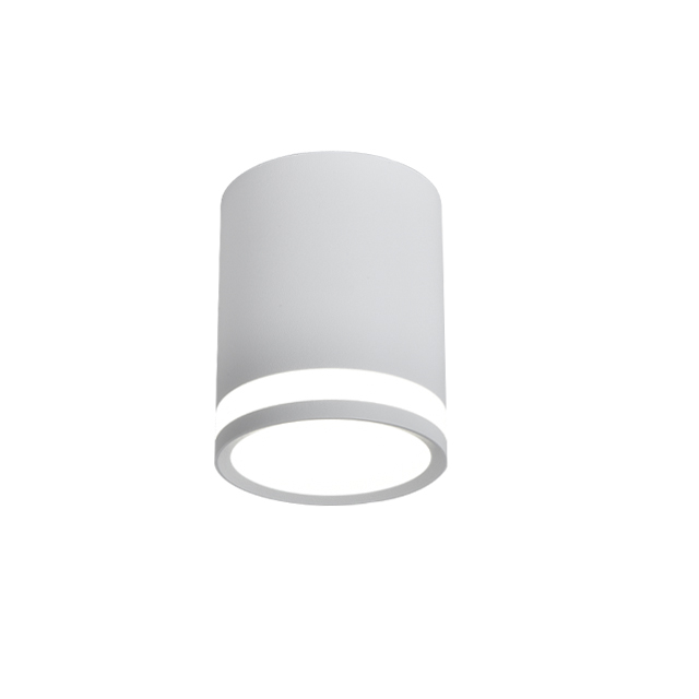 C001 LED Surface Mounted Down Light 6W/8W/10W for Ceiling