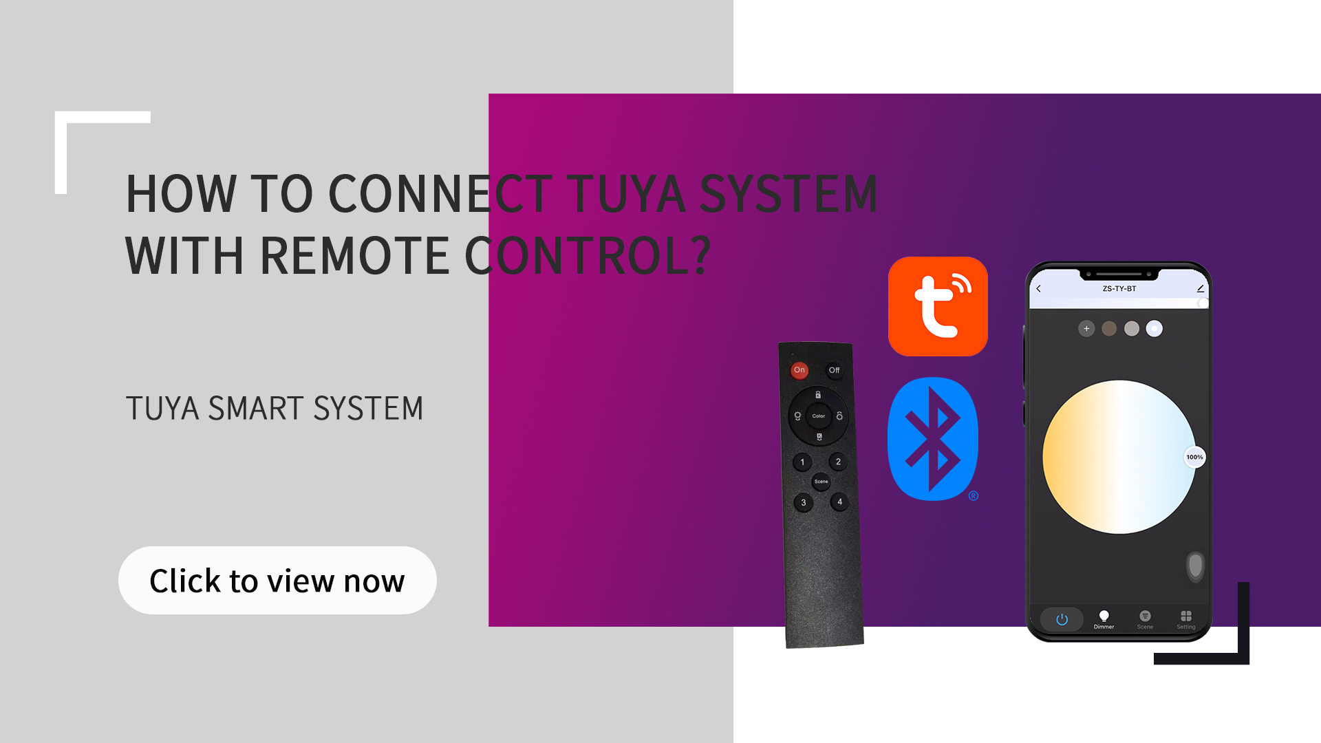 How to connect tuya system with remote control?