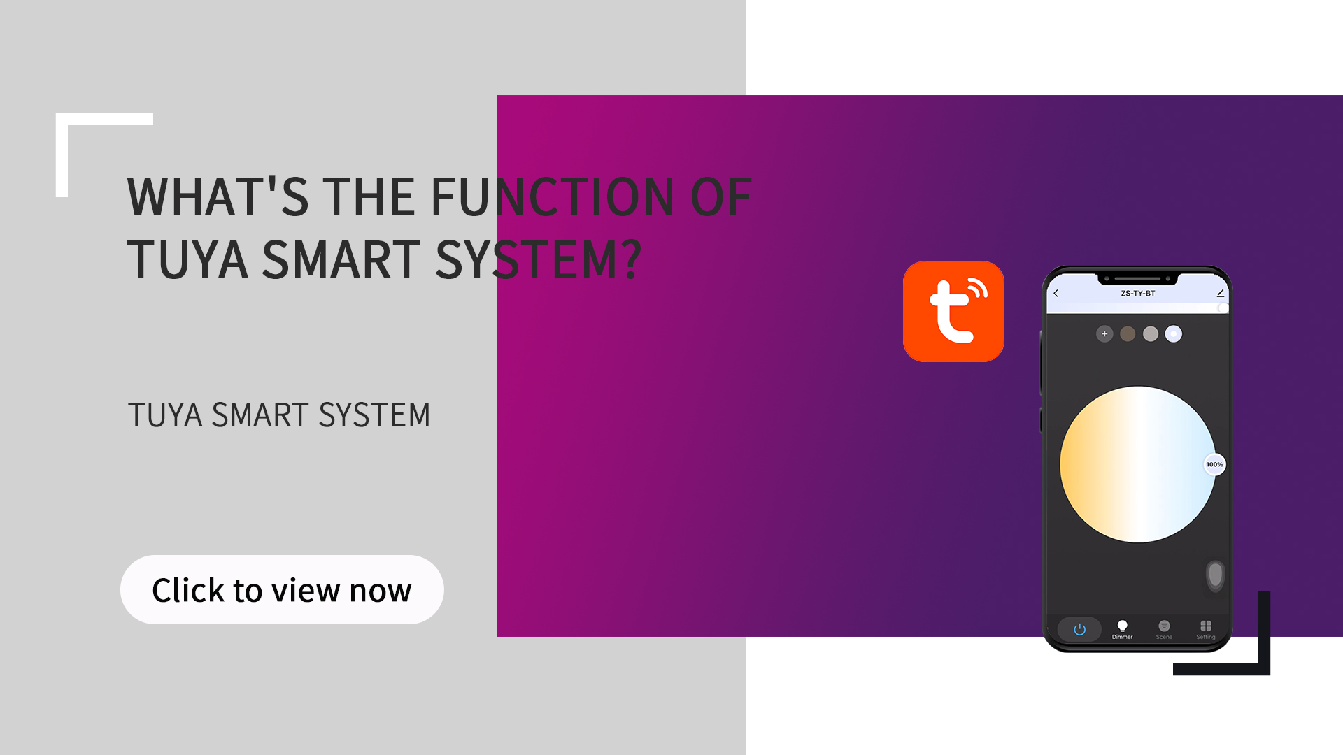 What's the function of tuya smart system?