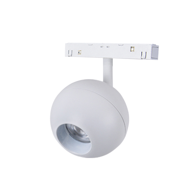 A024 Spherical Magnetic Track Light Spot Light