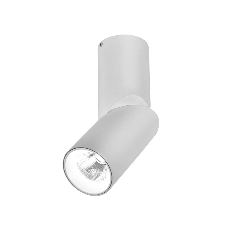 RT276 COB Indoor Lighting Surface Mounted Down Light Spot Light