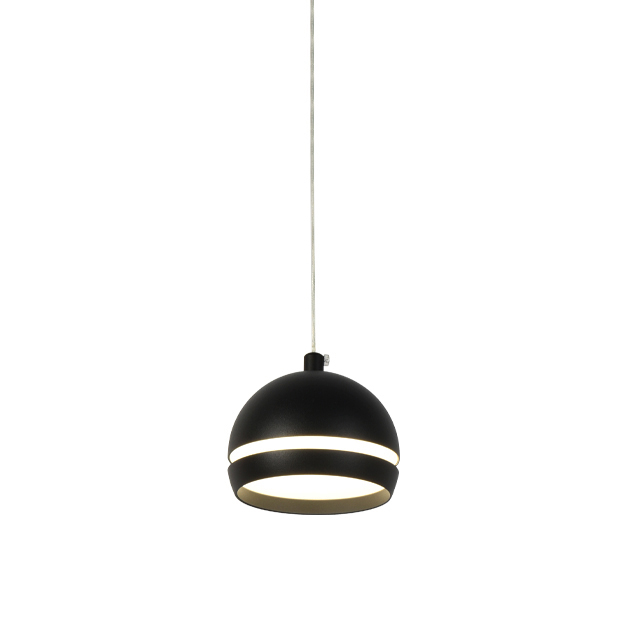 C002 Hemispherical Magnetic Track Pendant Light