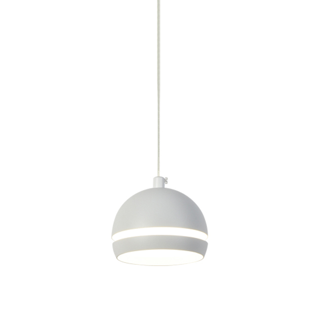 C002 Hemispherical Magnetic Track Pendant Light