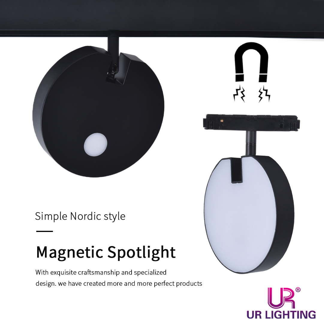 magnetic track light (11)