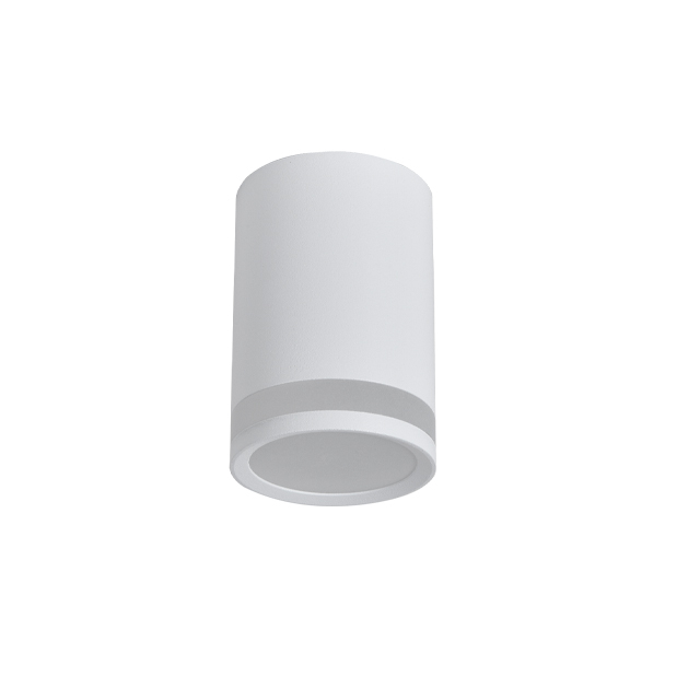 C001 LED Surface Mounted Down Light 6W/8W/10W for Ceiling